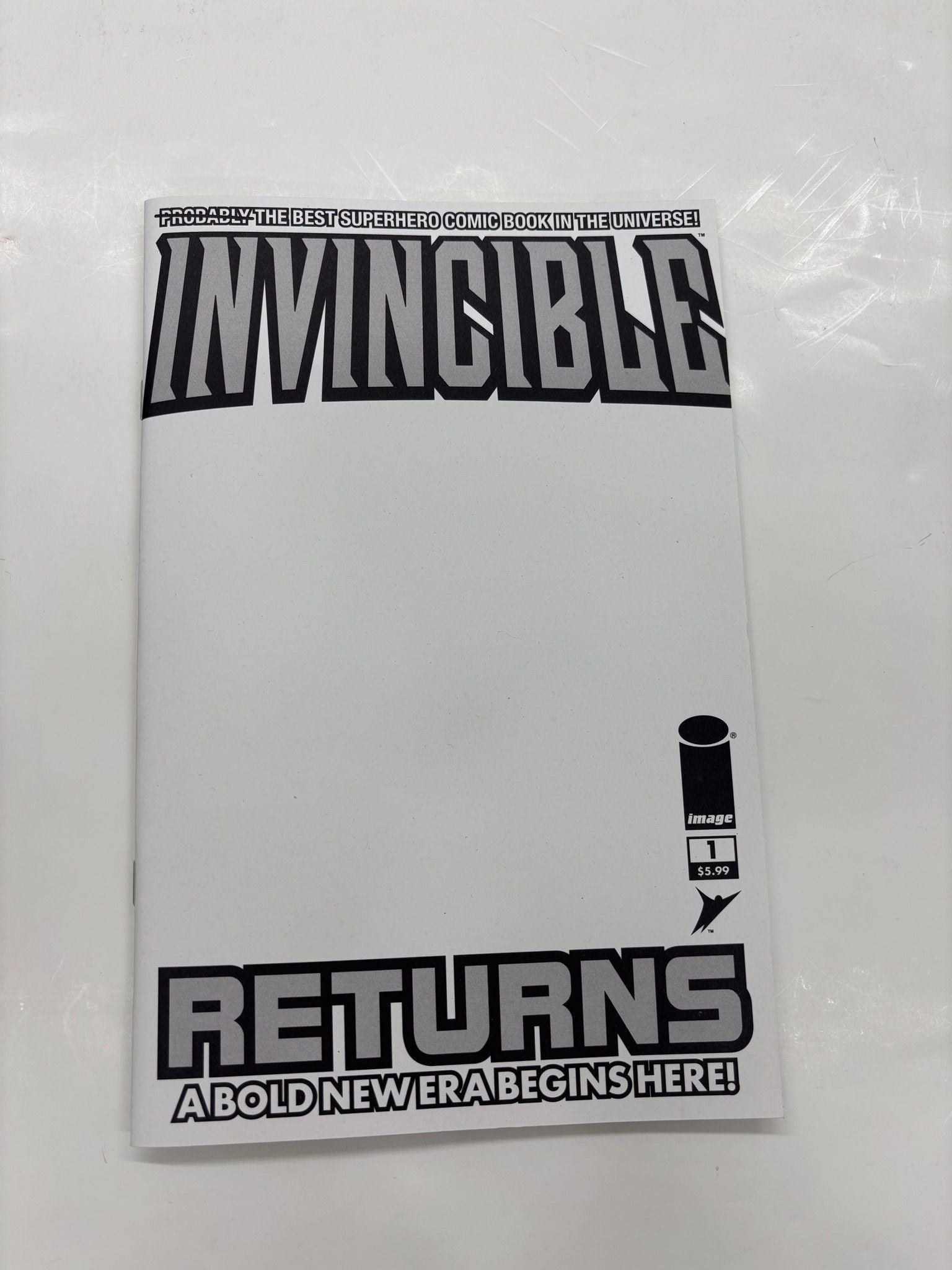 OTTLEY SIGNED invincible returns blank cover